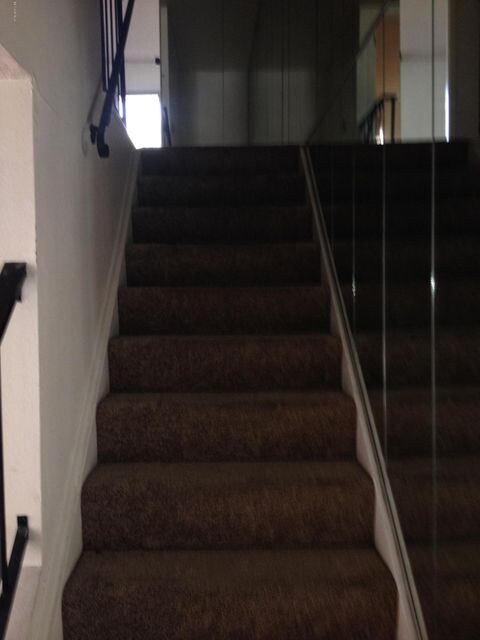 photo (5)