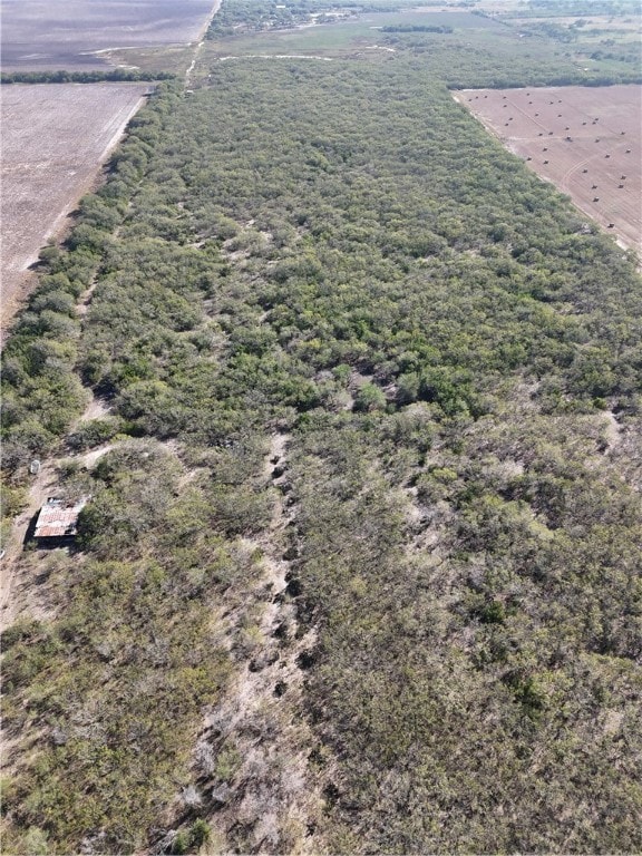 0 E County Road 2150 unit 467194, Kingsville, TX 78363 - photo 5