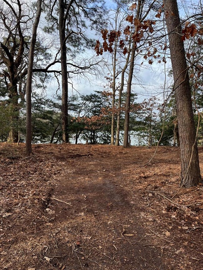 000 Greenbriar Ct unit A2, Eastville, VA 23310 - photo 3