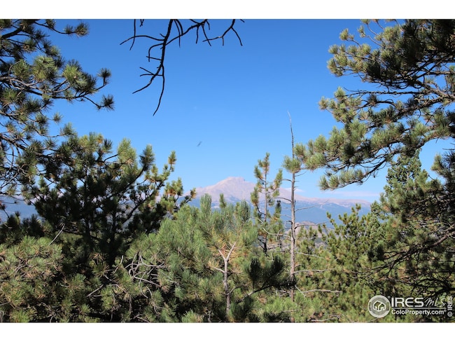 Forested, private, and serene.