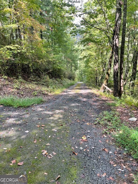 0 Sequoia Hills Ln unit 10613618, Clayton, GA 30525 - photo 7