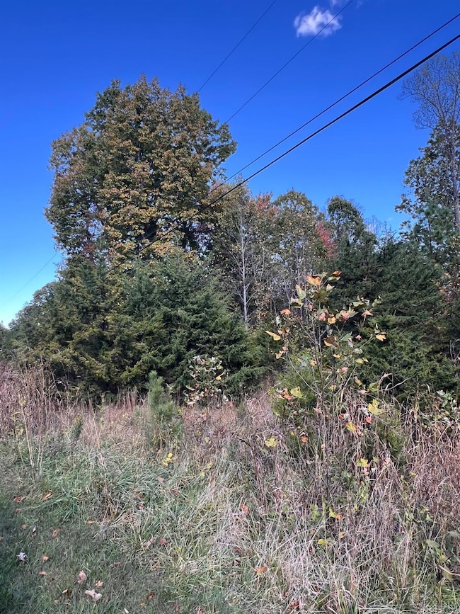 3 Eagle Rd, Amherst, VA 24521 - photo 4