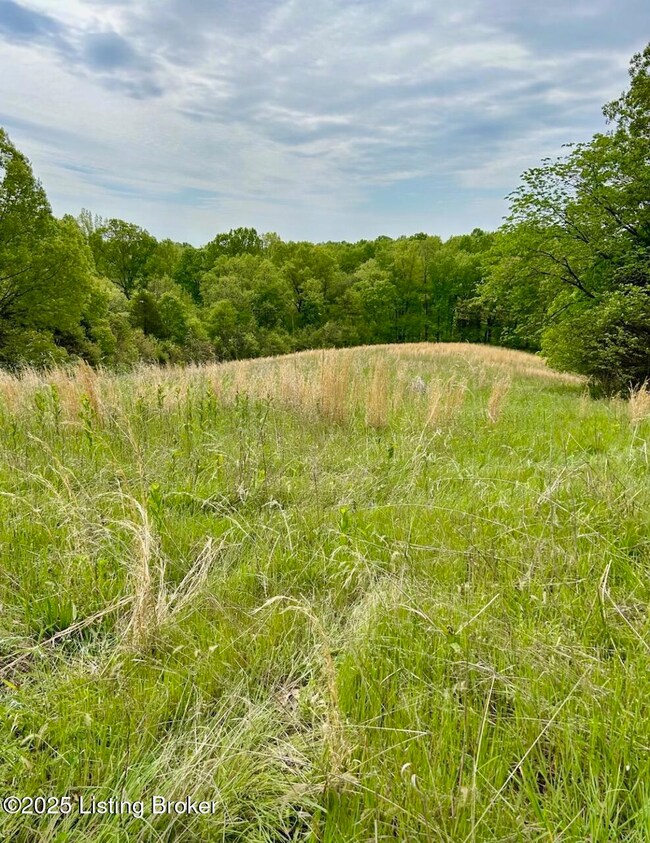 Cleared Field