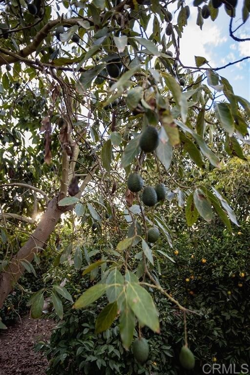 461 Wilshire Rd, Oceanside, CA 92057 - photo 7