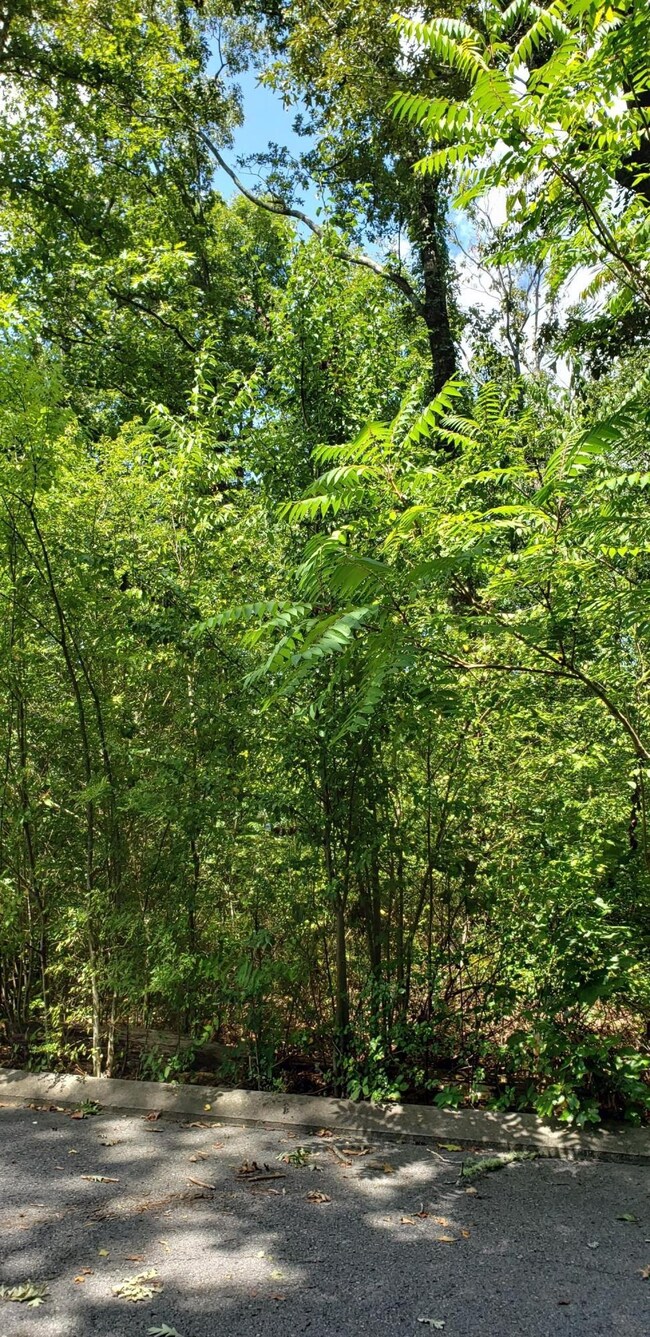 0 Shady Oaks Cove unit RTC2720334, Dunlap, TN 37327 - photo 5
