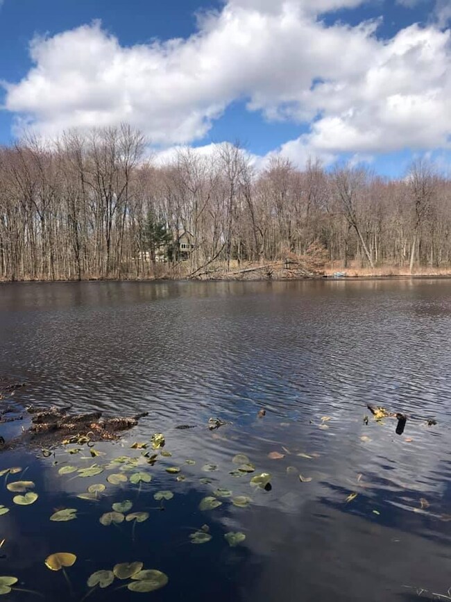 blood lake spring