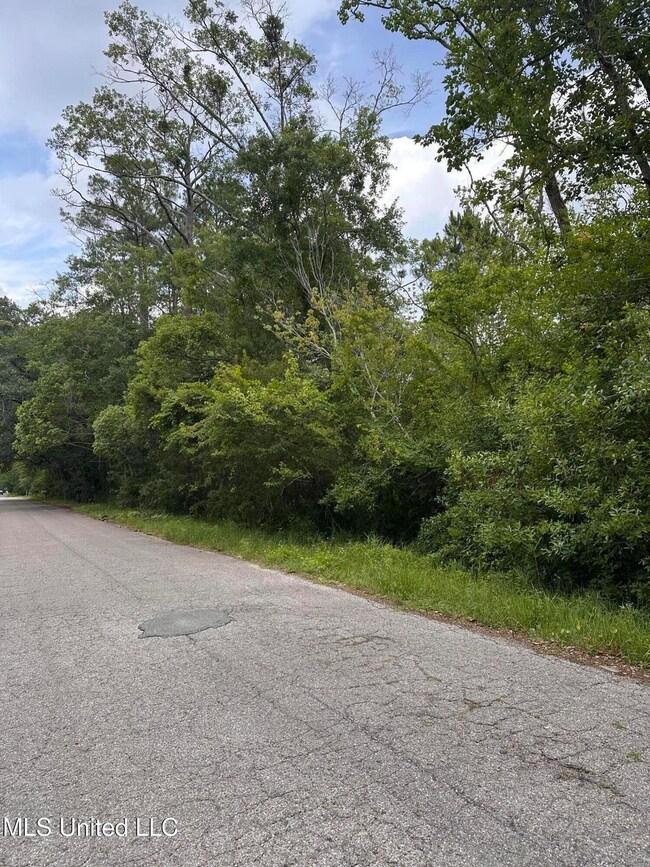 0 Martin St, Moss Point, MS 39563 - photo 4
