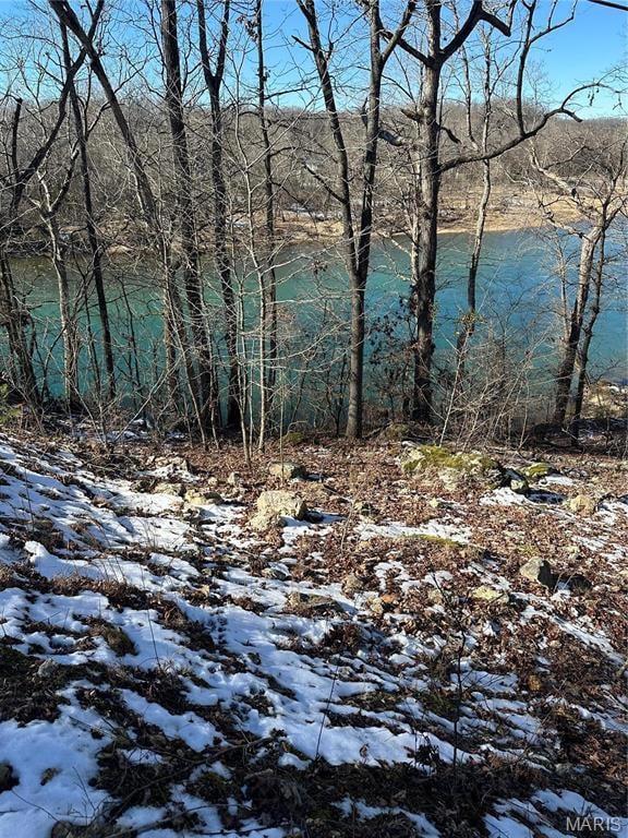 0 0 Ripley U-1a unit MAR25002541, Doniphan, MO 63935 - photo 7