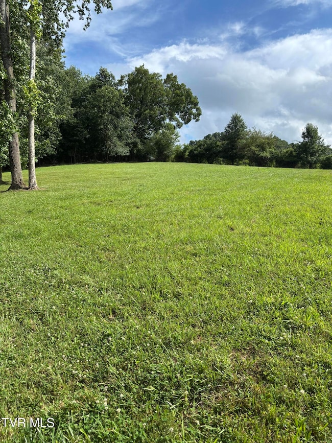 1095 Reynolds Rd, Piney Flats, TN 37686 - photo 6