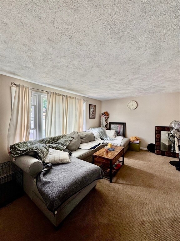 68 Oak St unit 68, Waltham, MA 02453 - photo 6