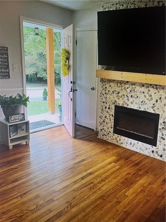 Living room featuring wood finished floors and a fireplace