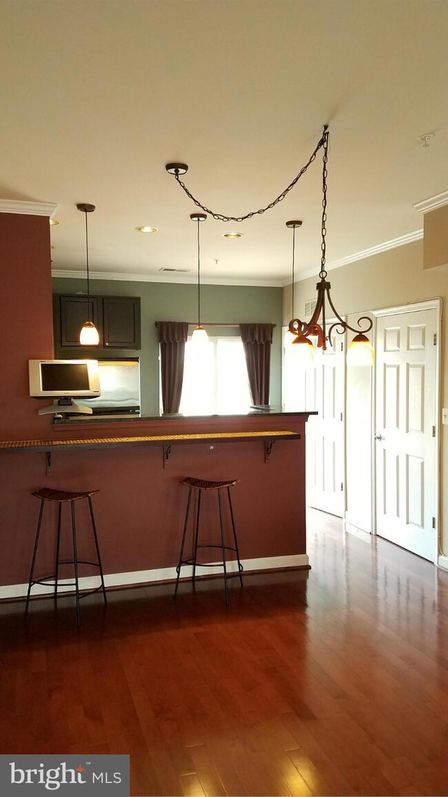 22575 Blue Elder Terrace, Ashburn, VA 20148 - photo 4