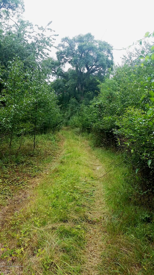 Access Road to Land