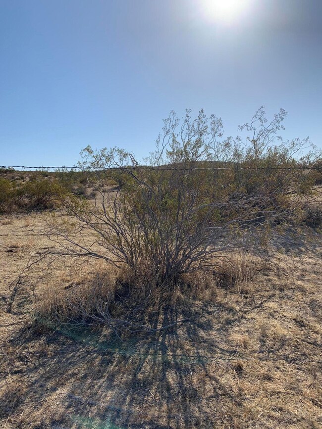 0 Werner Ave unit 21003358, Rosamond, CA - photo 3