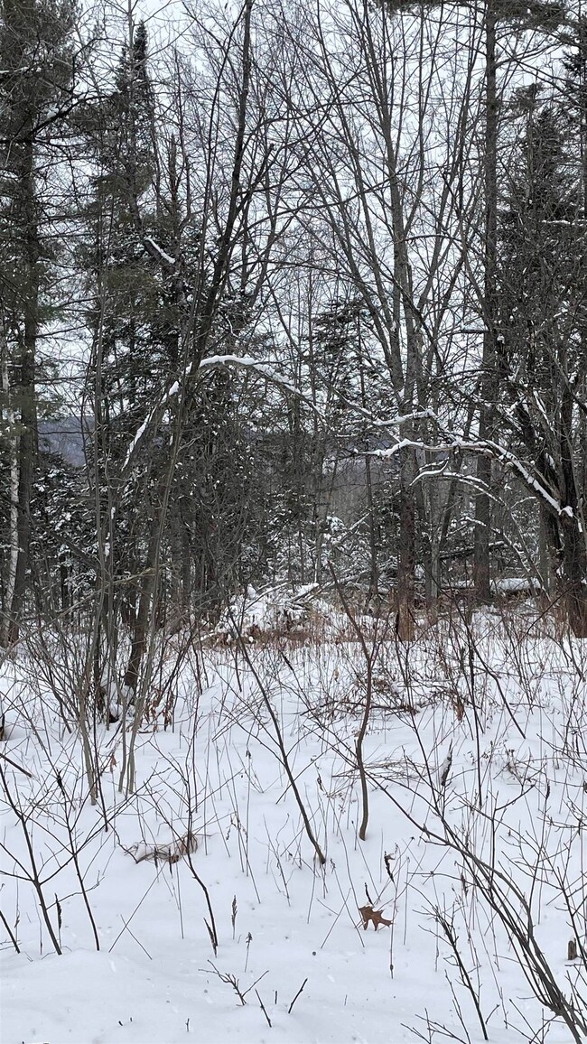 2137 N Littleton Rd, Littleton, NH 03561 - photo 5