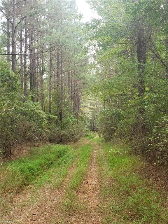 5680 Silk Hope Gum Springs Rd, Siler City, NC 27344 - photo 4