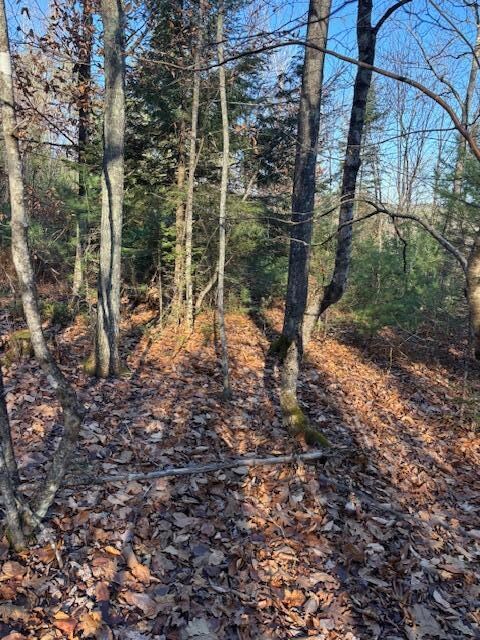 M 6, L 32 Main St, Wayne, ME 04284 - photo 6