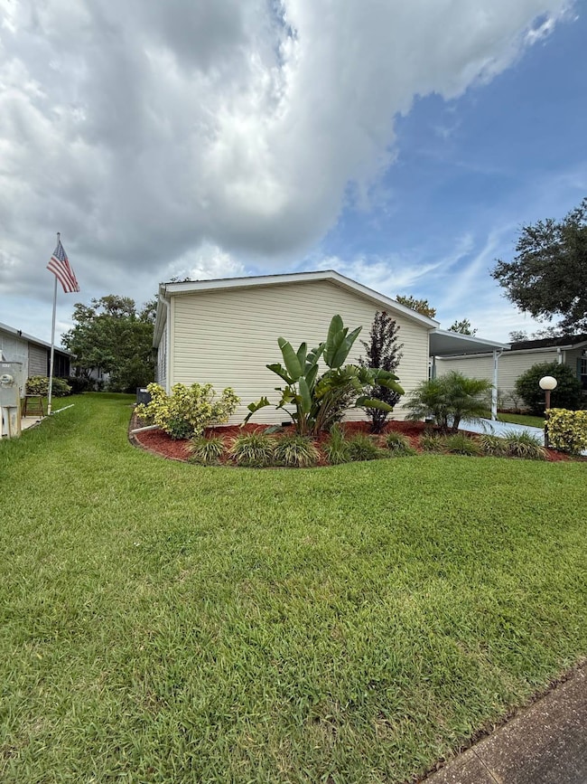 Left Side of Yard