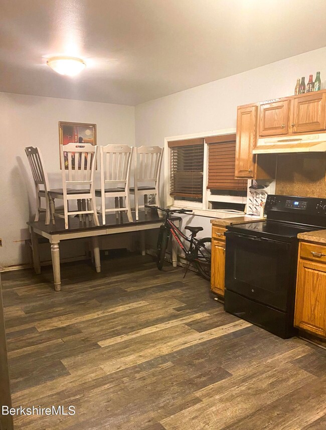 12 Leidhold Place, Pittsfield, MA 01201 - photo 7