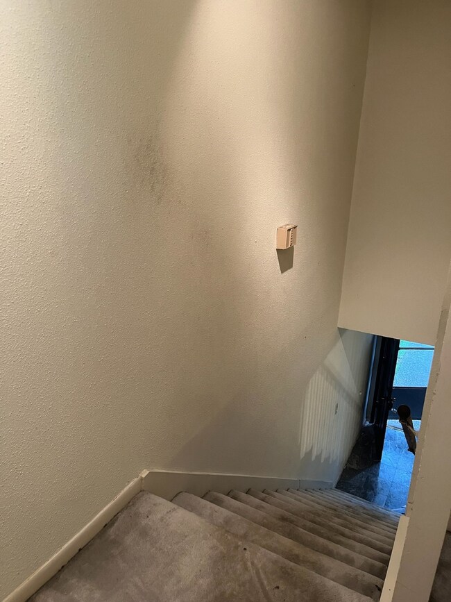 Carpeted interior staircase