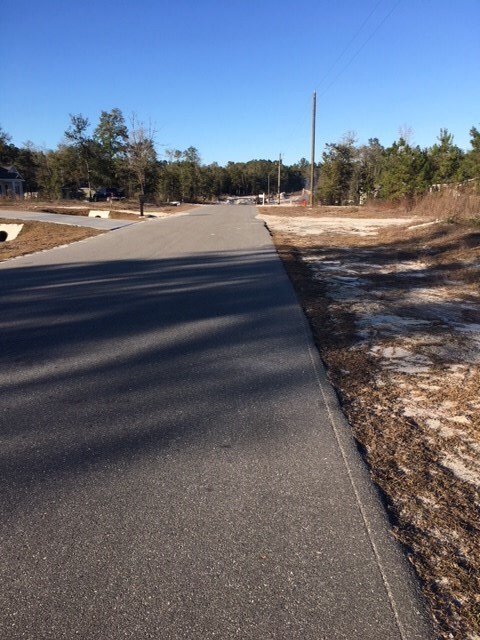 0 Scenic Stream Cir unit 288744, Crawfordville, FL 32327 - photo 2