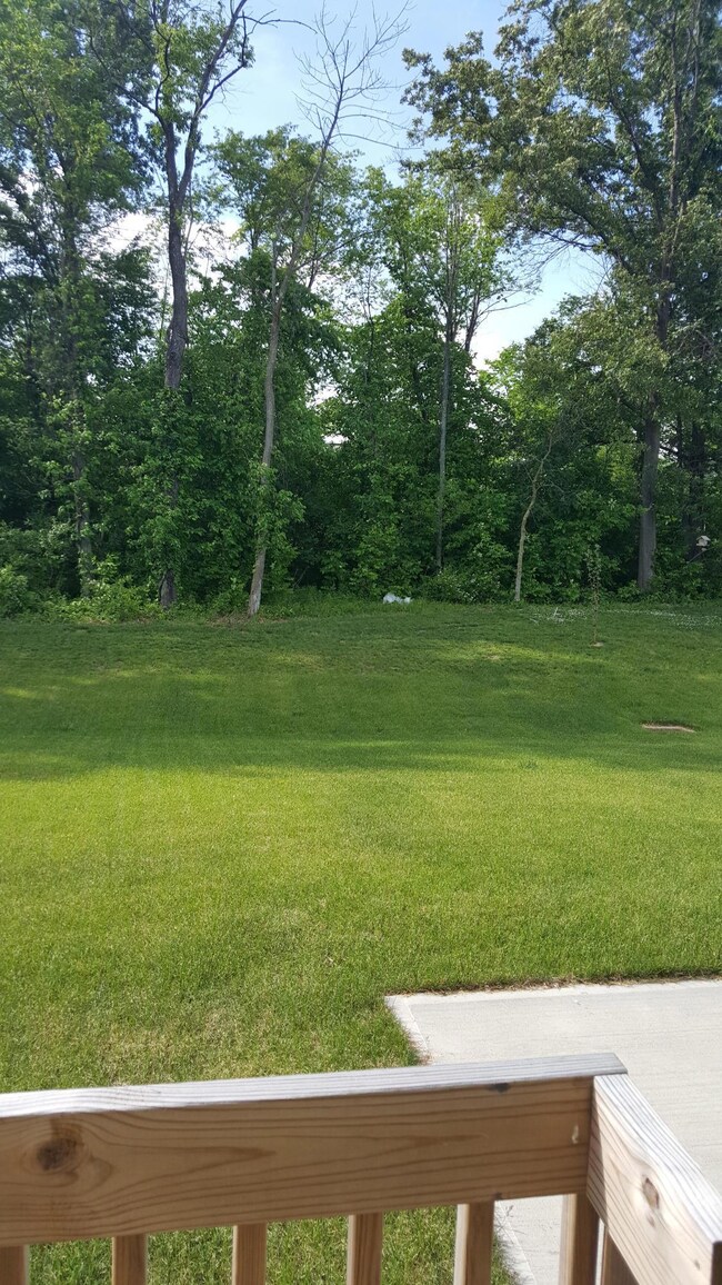 Backyard backing to trees
