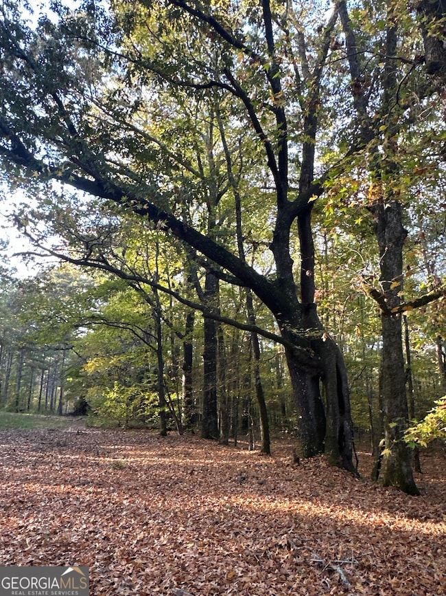 TRACT 2 Dennis Creek Rd, Talbotton, GA 31827 - photo 5