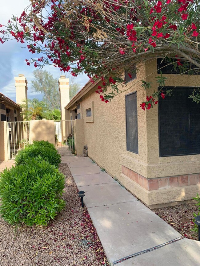 877 N Kenneth Place, Chandler, AZ 85226 - photo 3