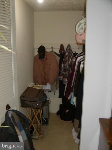 6110 Mantle Rd, Burke, VA 22015 - photo 6