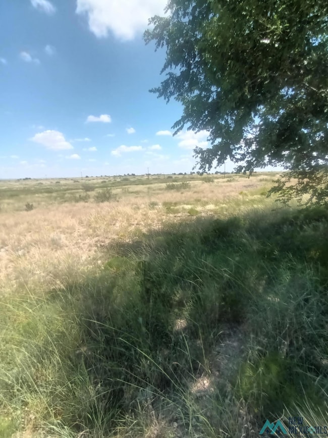 000 Marion Richards Rd, Roswell, NM 88201 - photo 7