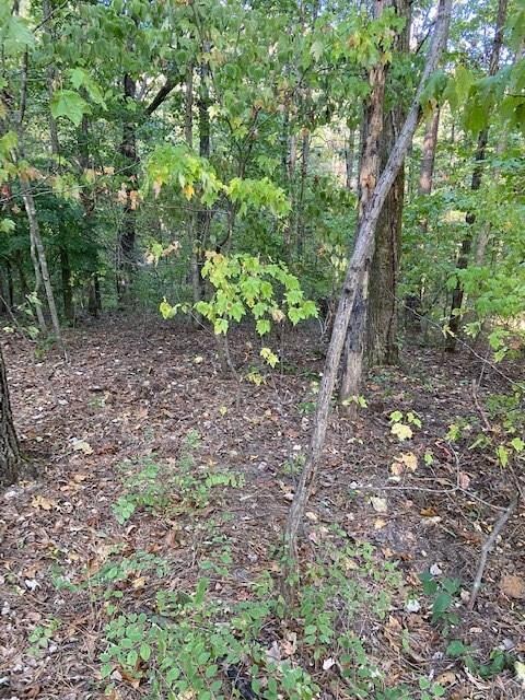 0 Earby Ln, Bella Vista, AR 72714 - photo 3