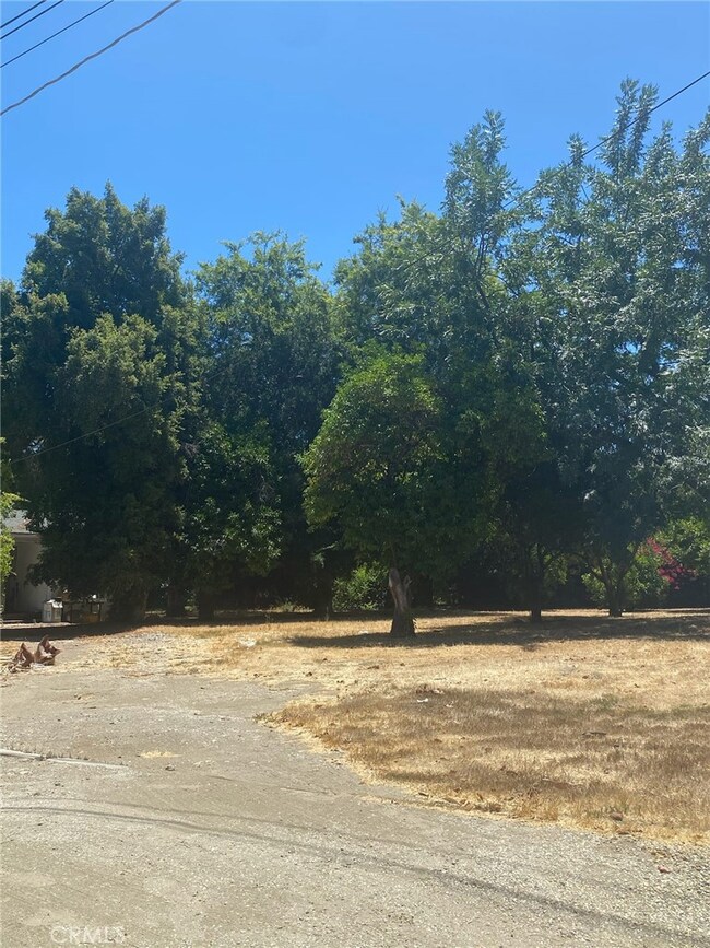 7110 Firmament Ave, Van Nuys, CA 91406 - photo 4