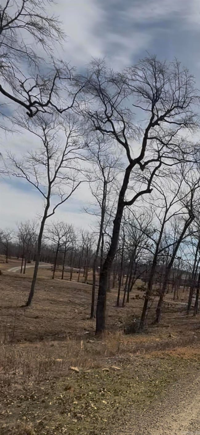 43 Megan Ln, Conway, AR 72032 - photo 5