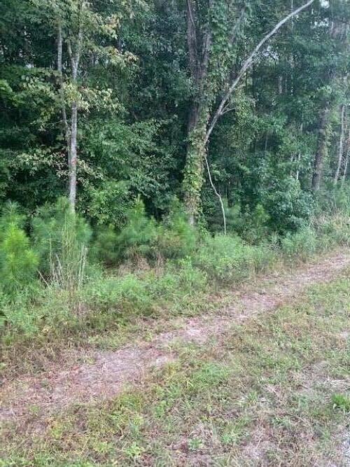 6572 N Highway 17, Awendaw, SC 29429 - photo 4