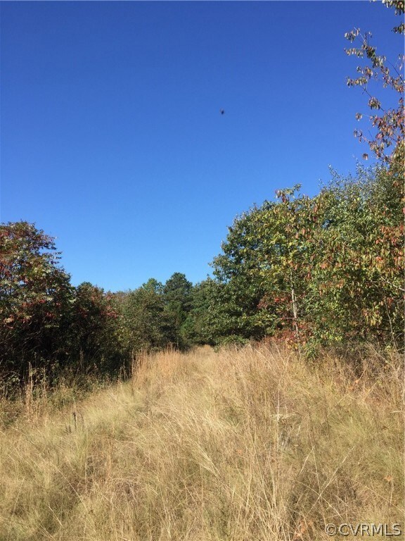 0 Ruther Glen Rd unit 1934026, Caroline, VA 22546 - photo 2