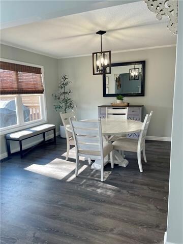 226 Debra St, Lansing, KS 66043 - photo 7