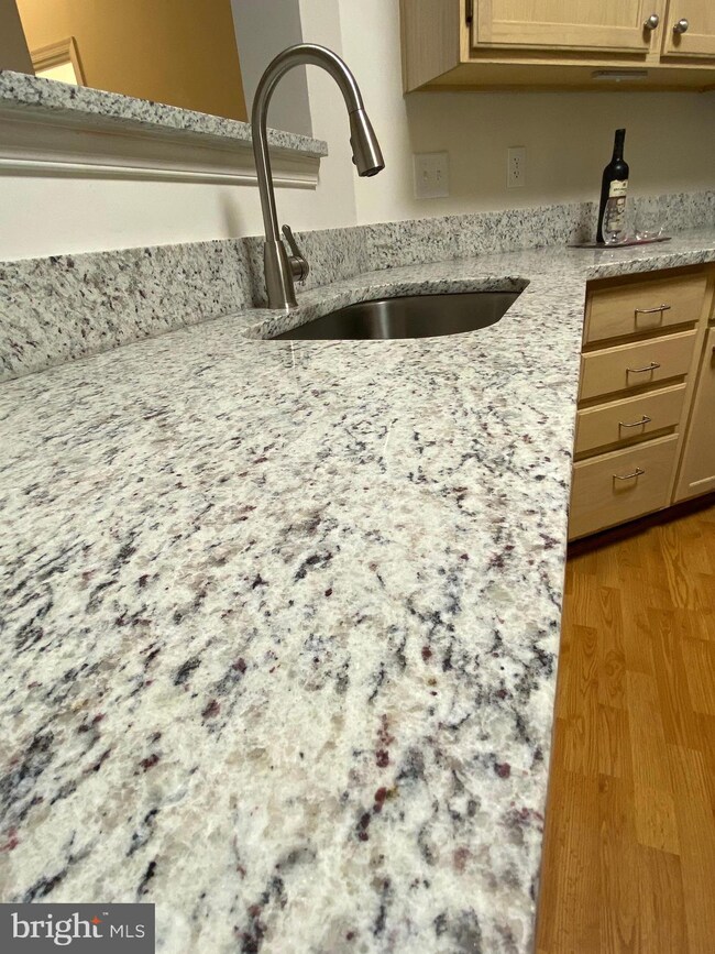 14314 Climbing Rose Way unit 102, Centreville, VA 20121 - photo 7