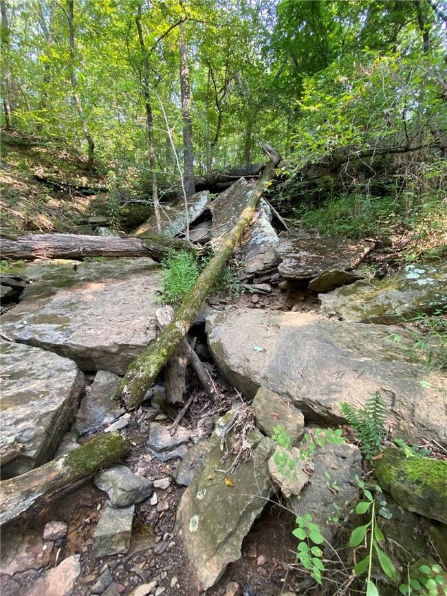 10AC Wild Turkey Rd, Winslow, AR 72959 - photo 3