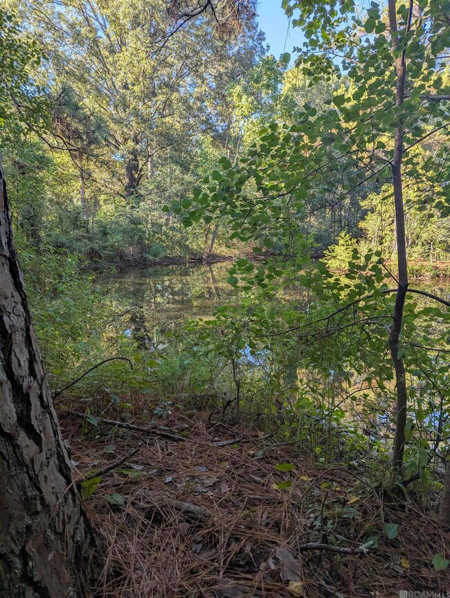 23154 Joe May Rd, Denham Springs, LA 70726 - photo 2