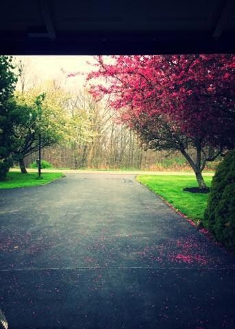 9093 Somerset Rd, Thornville, OH 43076 - photo 3