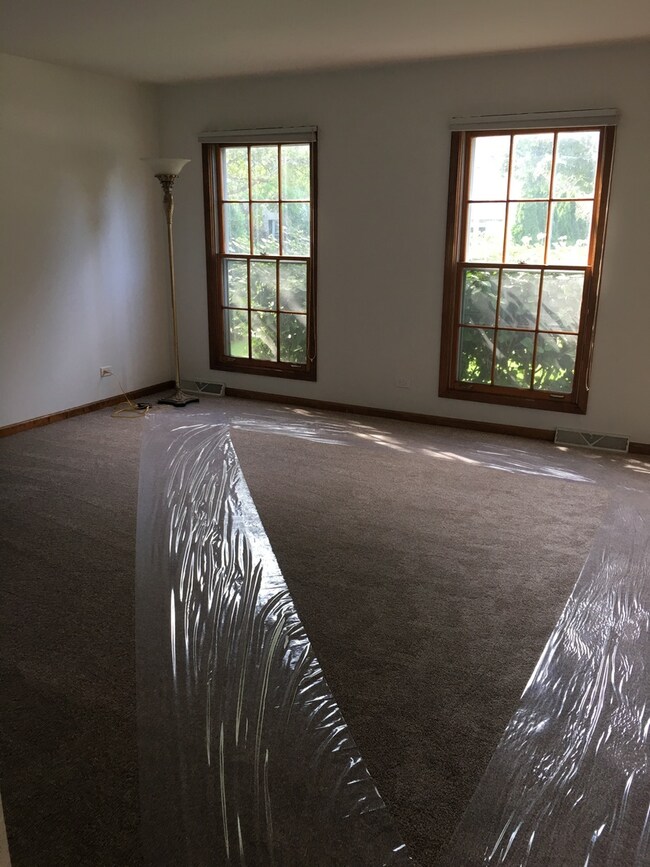 1050 E Gartner Rd unit 3, Naperville, IL 60540 - photo 4