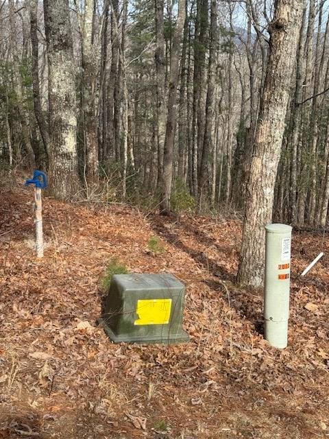 Lt 4,5,6 Abercrombie Estate, Suches, GA 30572 - photo 5