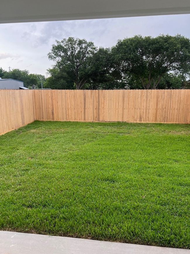 backyard