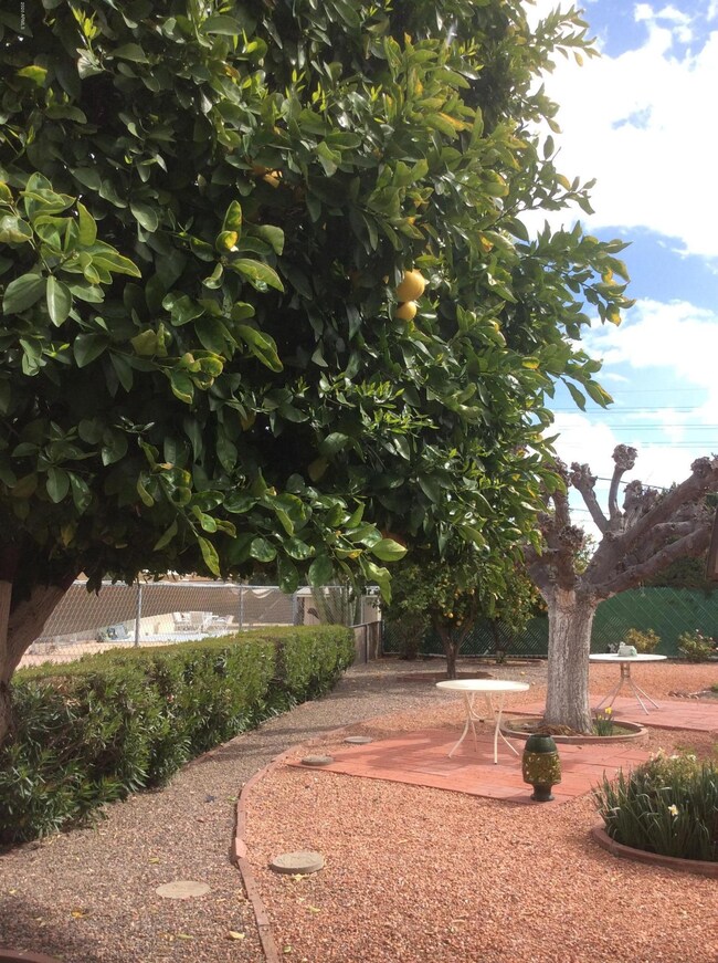 9910 W Pinehurst Dr, Sun City, AZ 85351 - photo 7