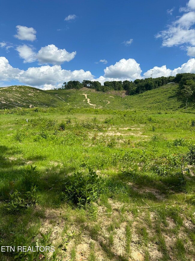 TBD Rd, Morristown, TN 37814 - photo 7