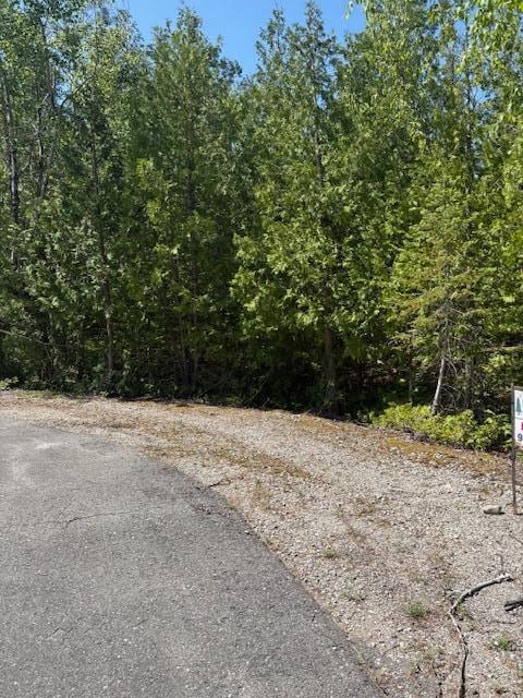 Lot 15 Tip Top Ct, Presque Isle, MI 49777 - photo 4