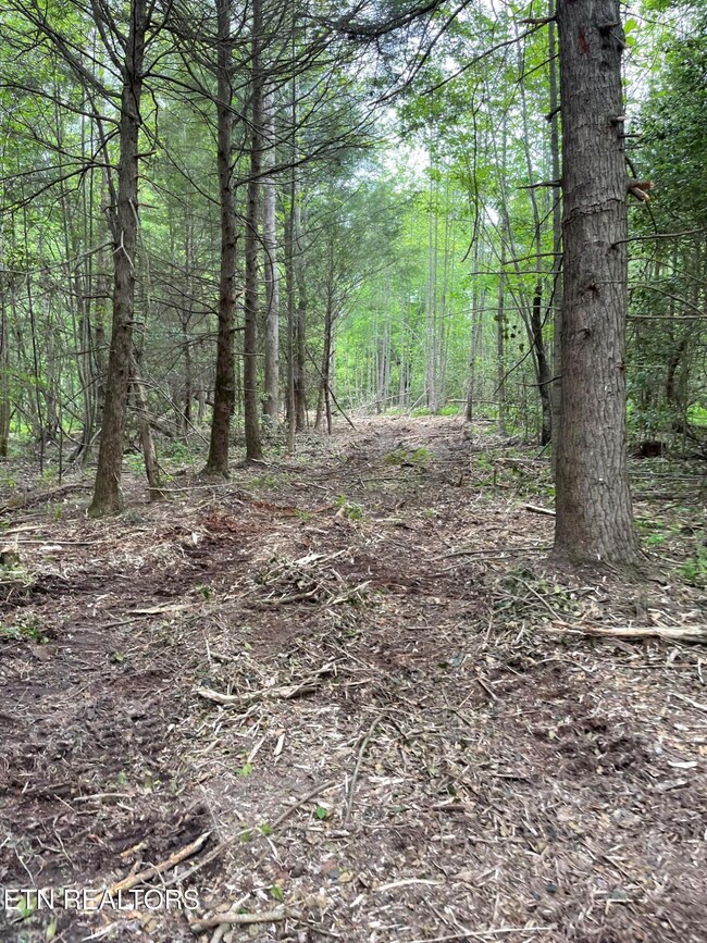 0 Scott Hwy, Winfield, TN 37892 - photo 7