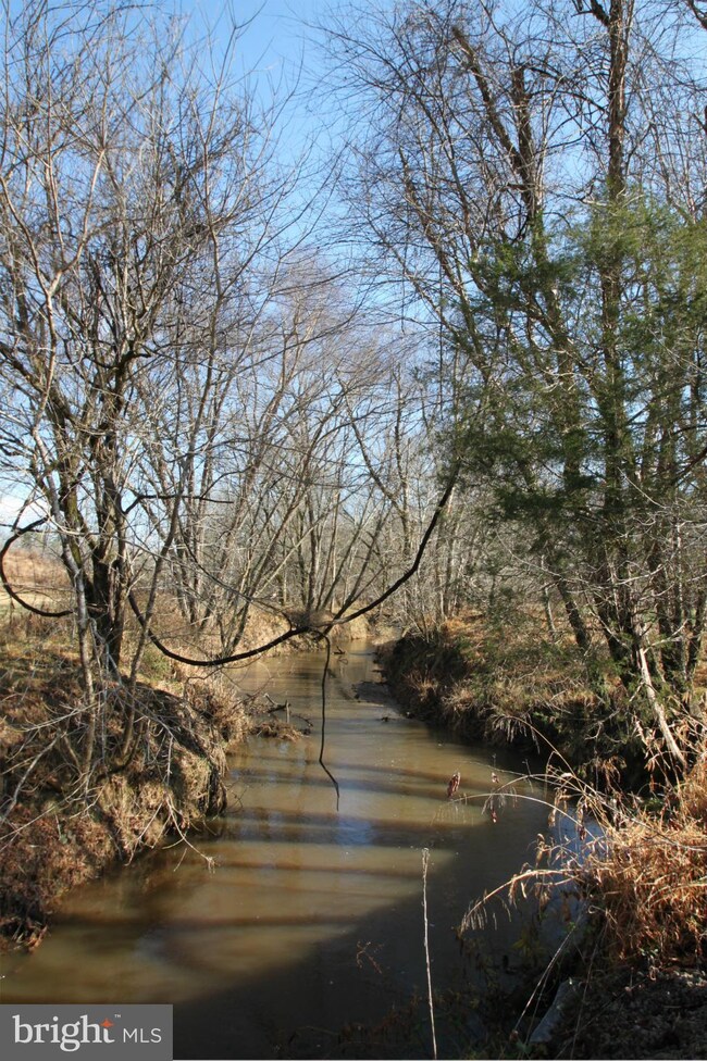 0 Crooked Run Ln unit 1000140993, Rapidan, VA 22733 - photo 3