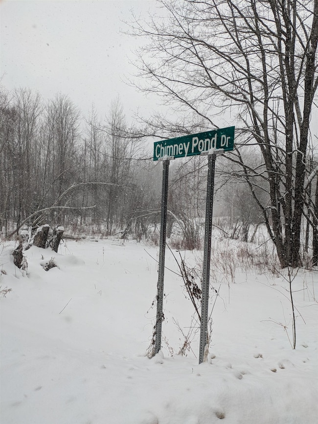 Lot 2 Mason Hill N, Starksboro, VT 05487 - photo 2