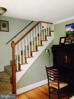 3723 Albemarle St NW, Washington, DC 20016 - photo 3